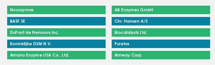 Top Suppliers in the Food Enzymes Market