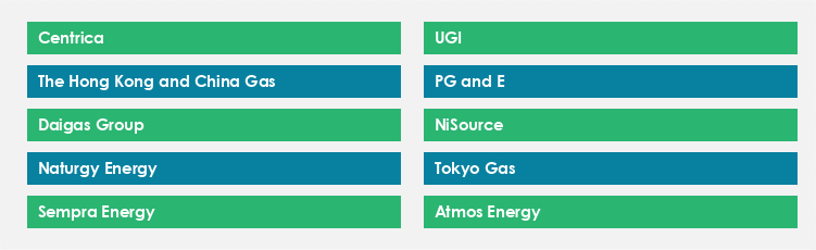 Top Suppliers in the Natural Gas Utilities Market
