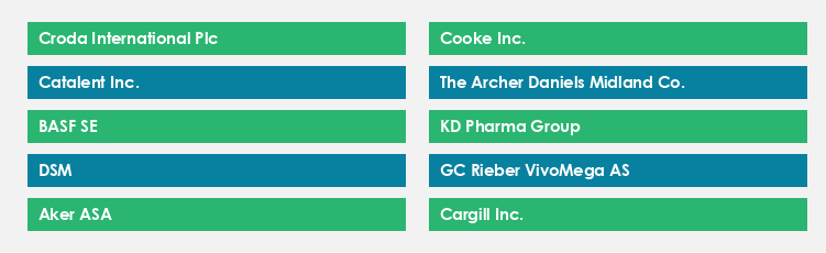Top Suppliers in the Docosahexaenoic Acid Market