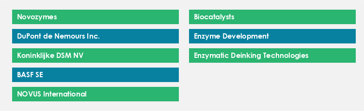 Top Suppliers in the Industrial Enzymes Market