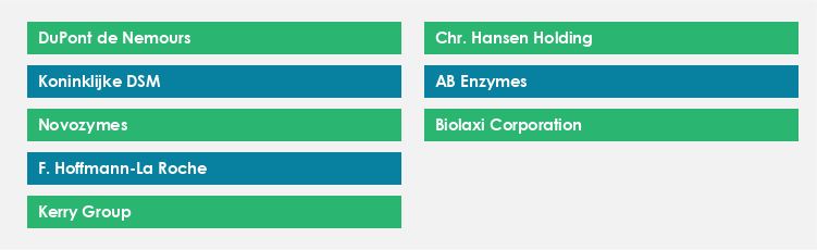 Top Suppliers in the Dairy Enzymes Market