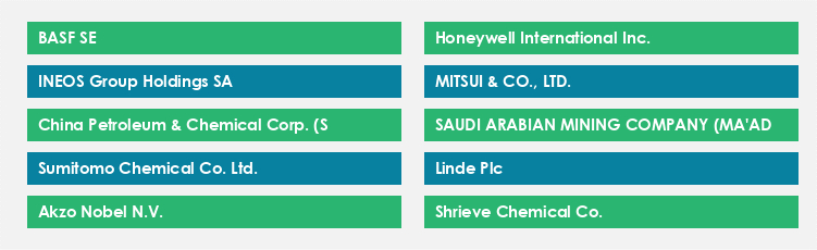 Top Suppliers in the Sulfuric Acid Market