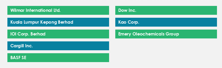 Top Suppliers in the Fatty Acid Market