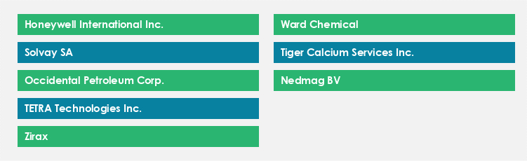 Top Suppliers in the Calcium Chloride Market Market