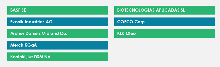 Top Suppliers in the Mixed Tocopherol Market