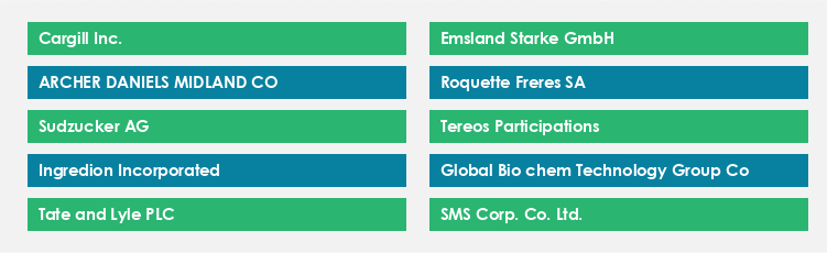 Top Suppliers in the Starch Market