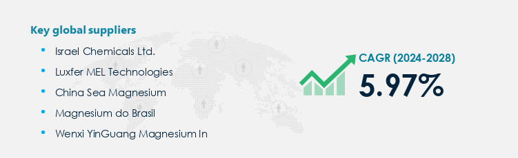 Magnesium Market Procurement - Sourcing and Intelligence Report on Price Trends and Spend & Growth Analysis