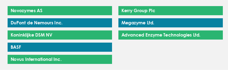 Top Suppliers in the Industrial Enzymes Market Market