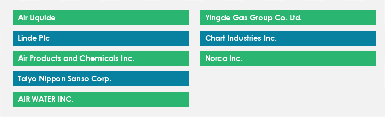 Top Suppliers in the Oxygen Market Market