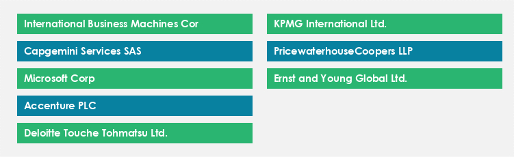 Top Suppliers in the Financial Modelling Services Market Market