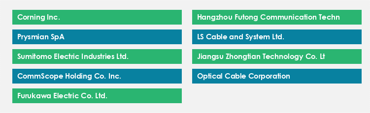 Top Suppliers in the Fiber Optic Cables Market Market