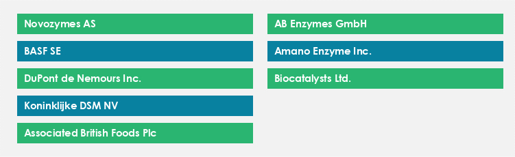 Top Suppliers in the Food Enzymes Market Market