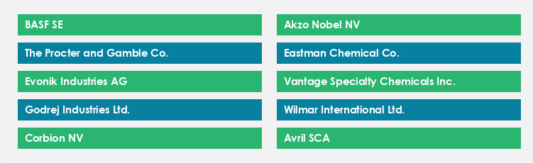 Top Suppliers in the Oleochemicals Market Market