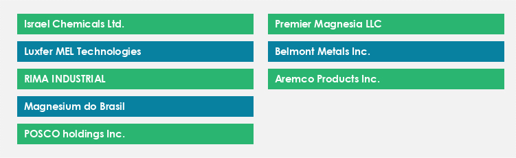 Top Suppliers in the Magnesium Market Market